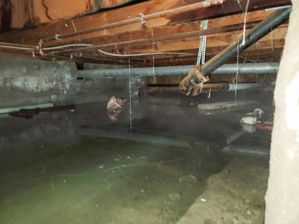Best Fire Damage Restoration  in Gary, IN