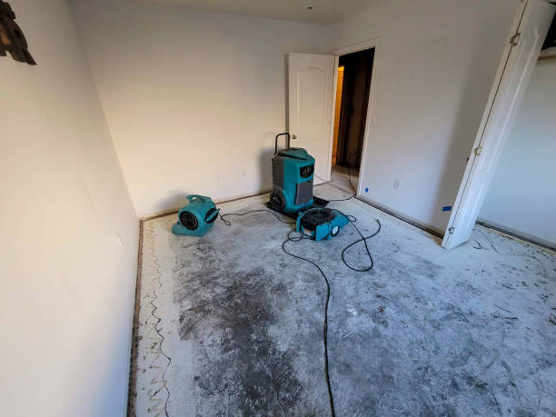 Best Mold removal after water damage  in Gary, IN