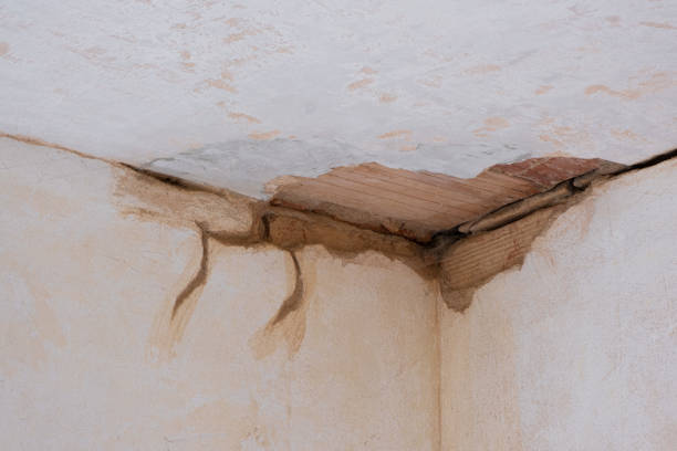 Best Flood restoration services  in Gary, IN