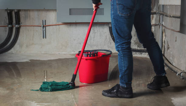 Best Flood damage cleanup  in Gary, IN
