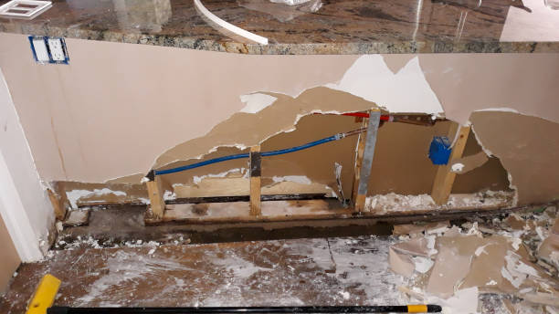 Best Water damage mitigation services  in Gary, IN