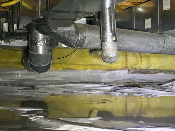 Best Water damage restoration near me  in Gary, IN