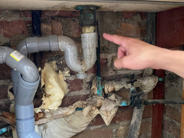 Best Ceiling water damage repair  in Gary, IN