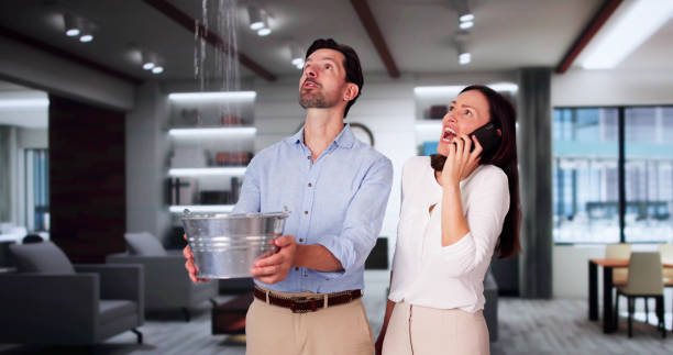 Best Fire Damage Restoration  in Gary, IN